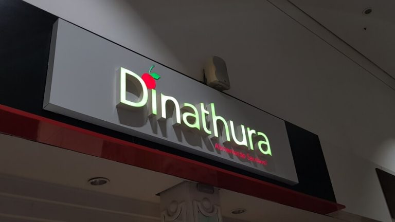 dinathura-capa